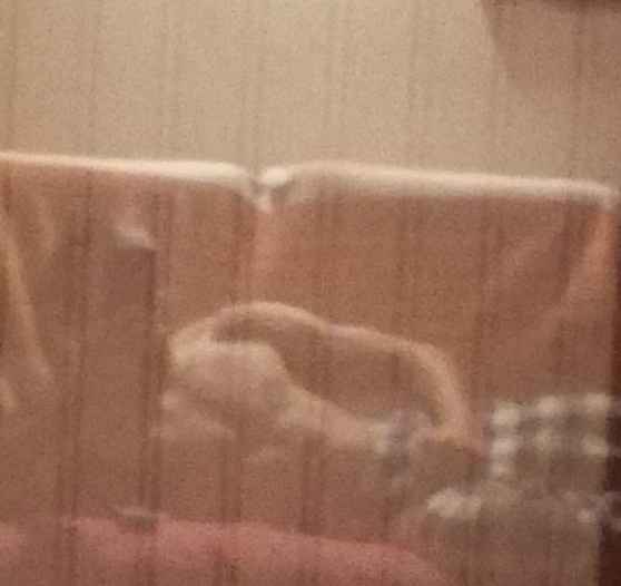 Profil de Dawoud, 35 ans, Cruising gay à Wasseiges (Liège)